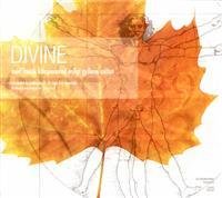 Divine: Det gyllene rummet