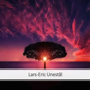 Personlig insikt : träningsprogram för problemlösning, kreativitet och glädje